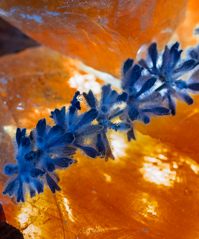 Ambre Millénaire – Extrait de Parfum 100ml