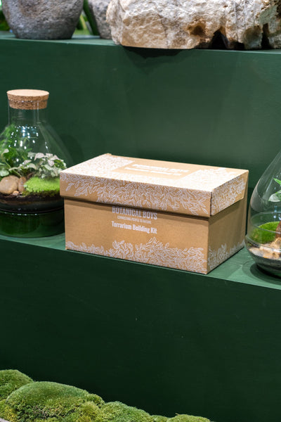Cork jar terrarium kit