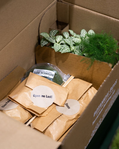 Eden Dome Terrarium Kit 16.5cm