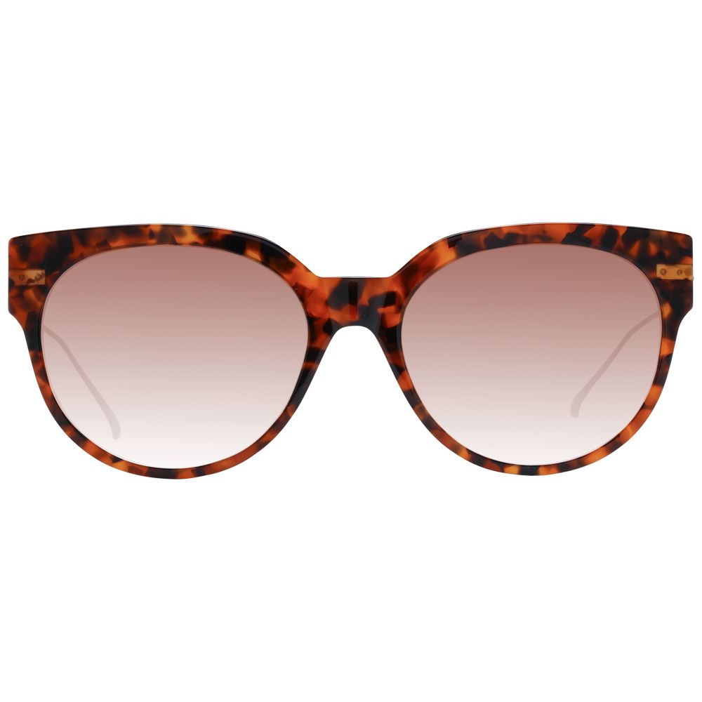 Brown Women Sunglass