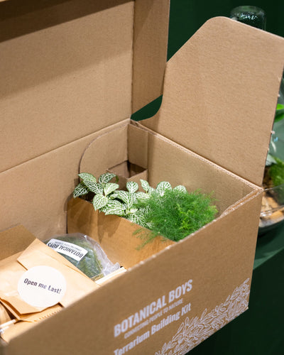 Cork jar terrarium kit