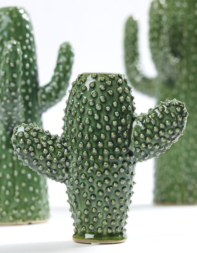 Cactus Small