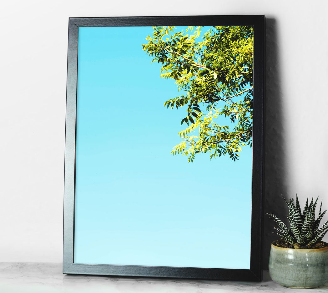 Blue Sky Print