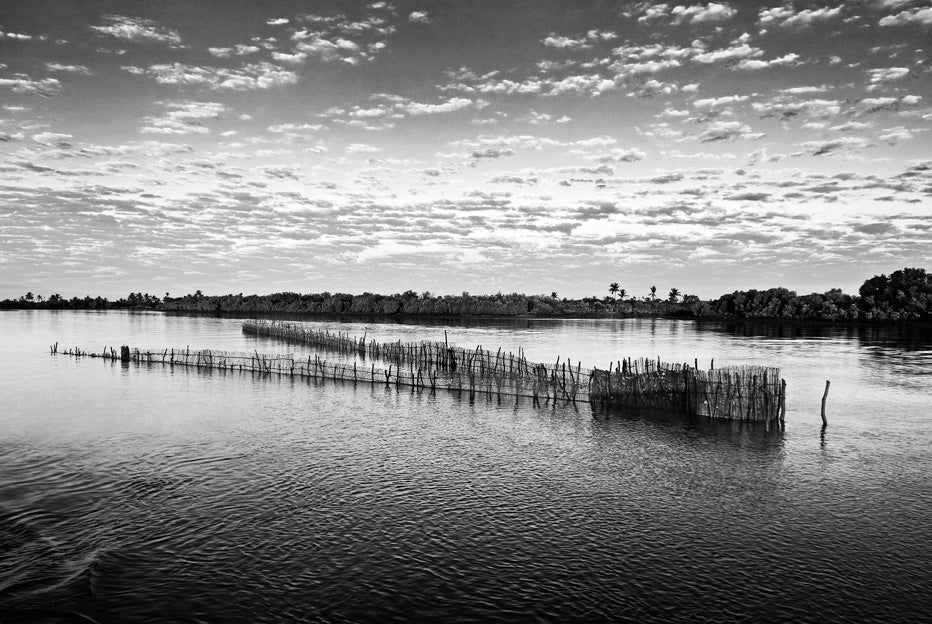 David Ballam - MZ 10