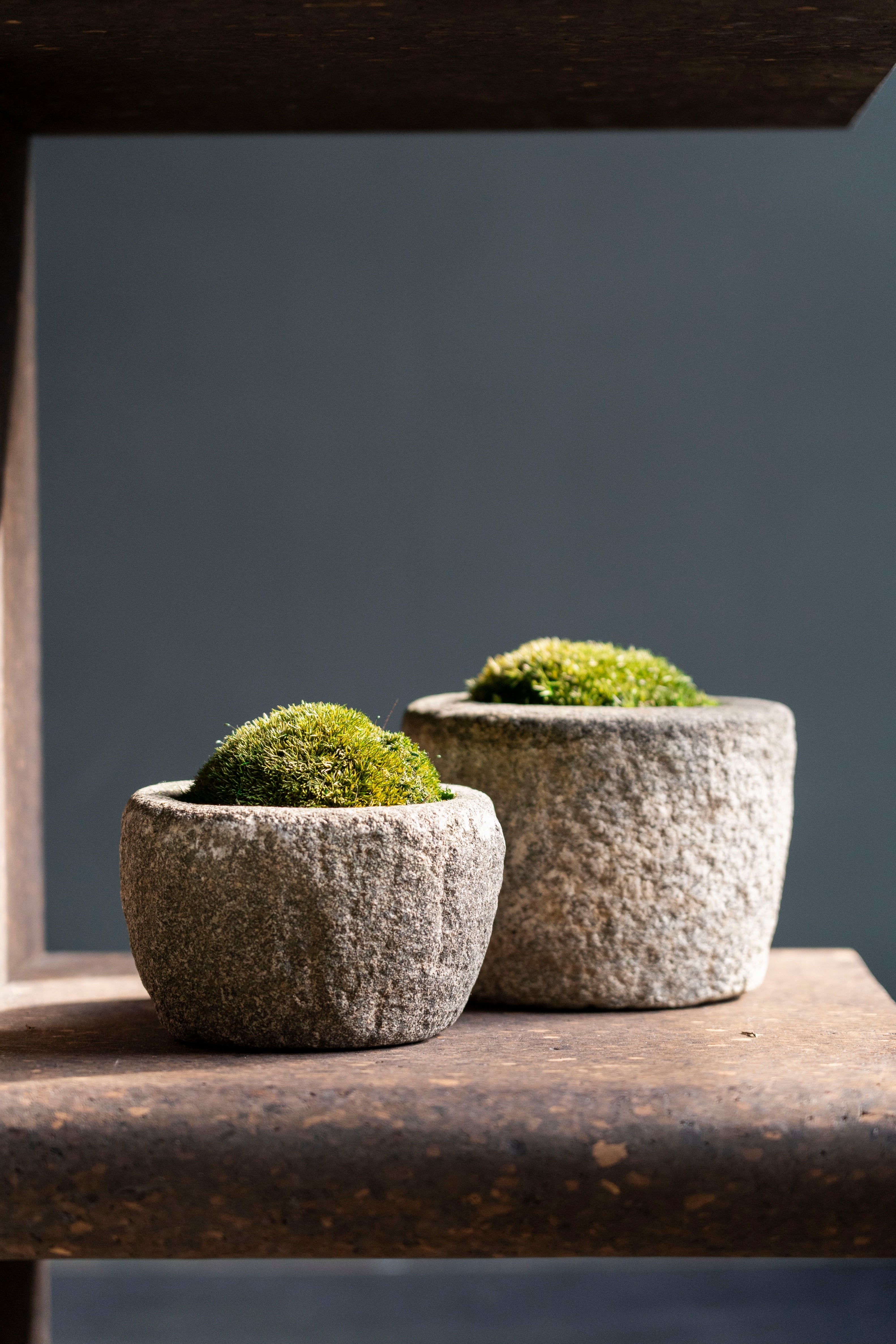 Antique Stone Mortar with Moss