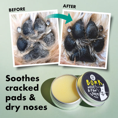 Bork Nose and Paw Balm for Dogs
