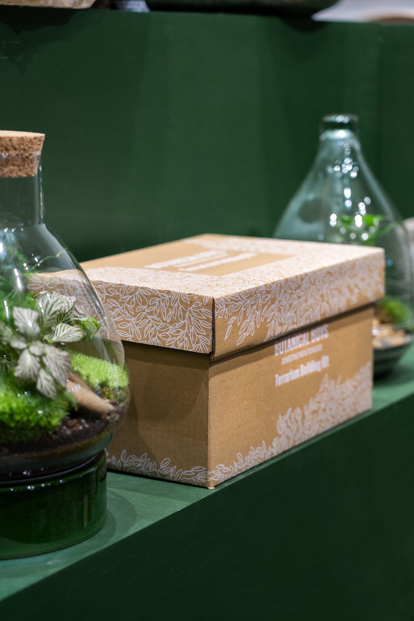 Cork jar terrarium kit