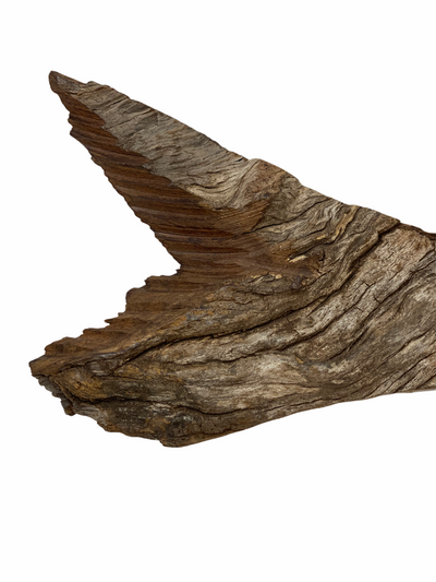 Driftwood Hand Carved Fish - Small