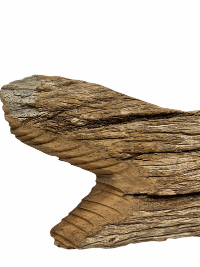 Driftwood Hand Carved Fish - XL