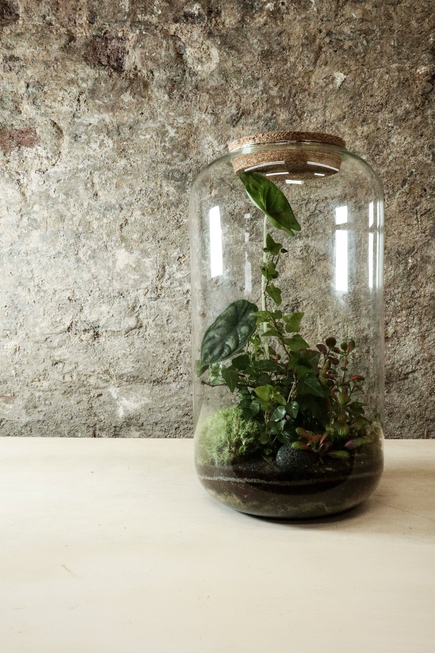 Contemporary Jar Terrarium 40x27cm FR33