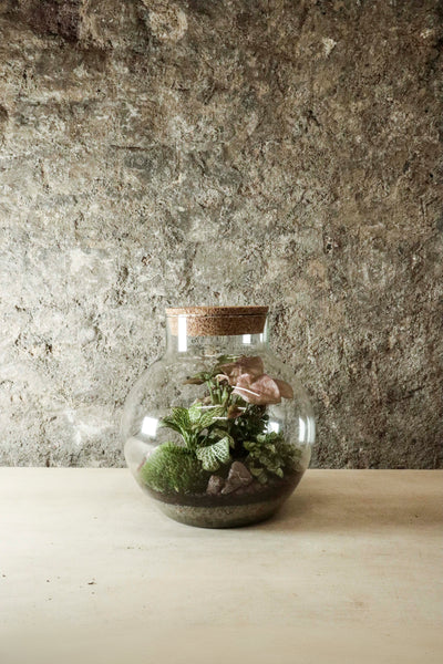Bowl Jar Terrarium 44x34cm FR40