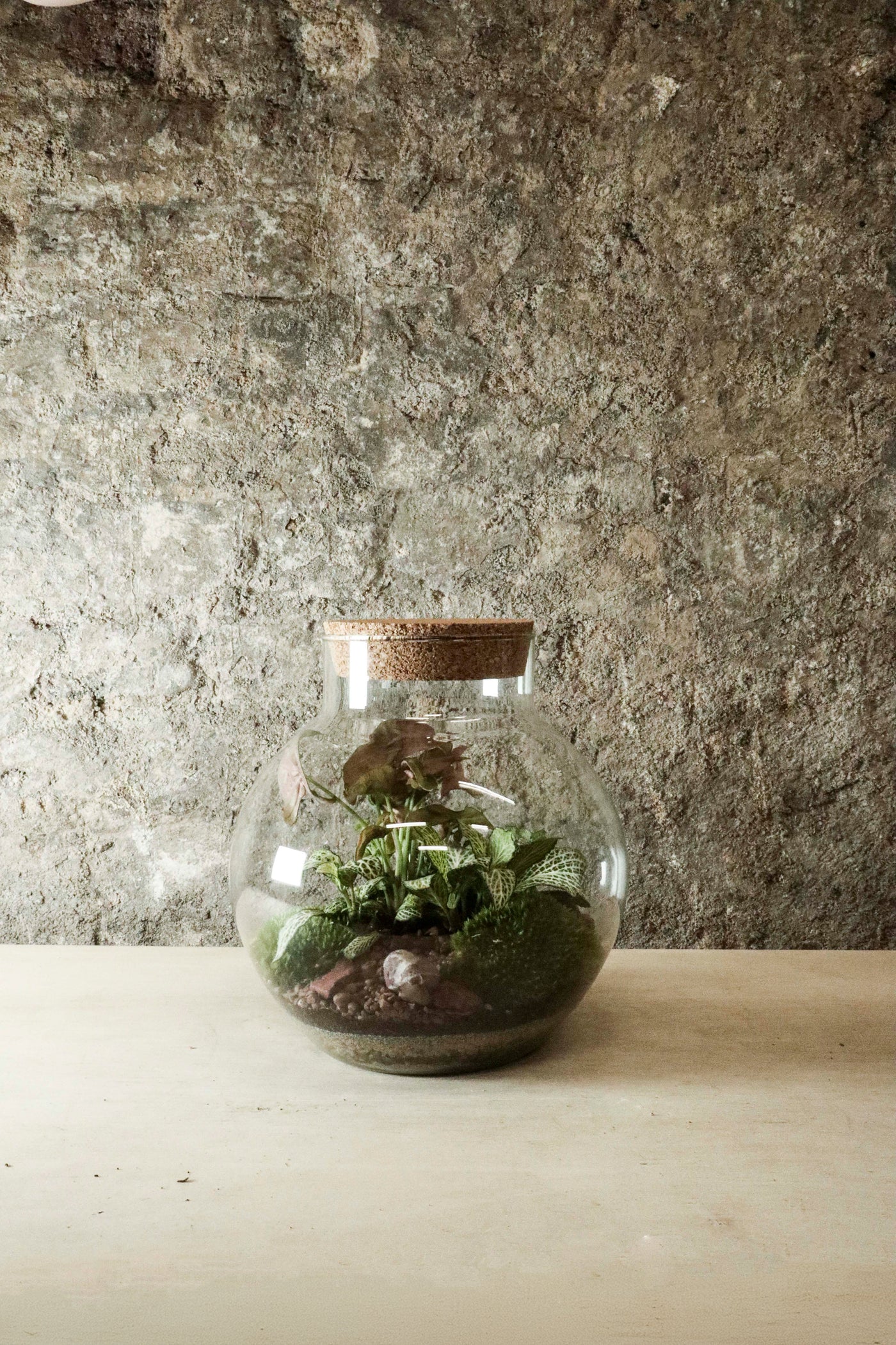 Bowl Jar Terrarium 44x34cm FR40