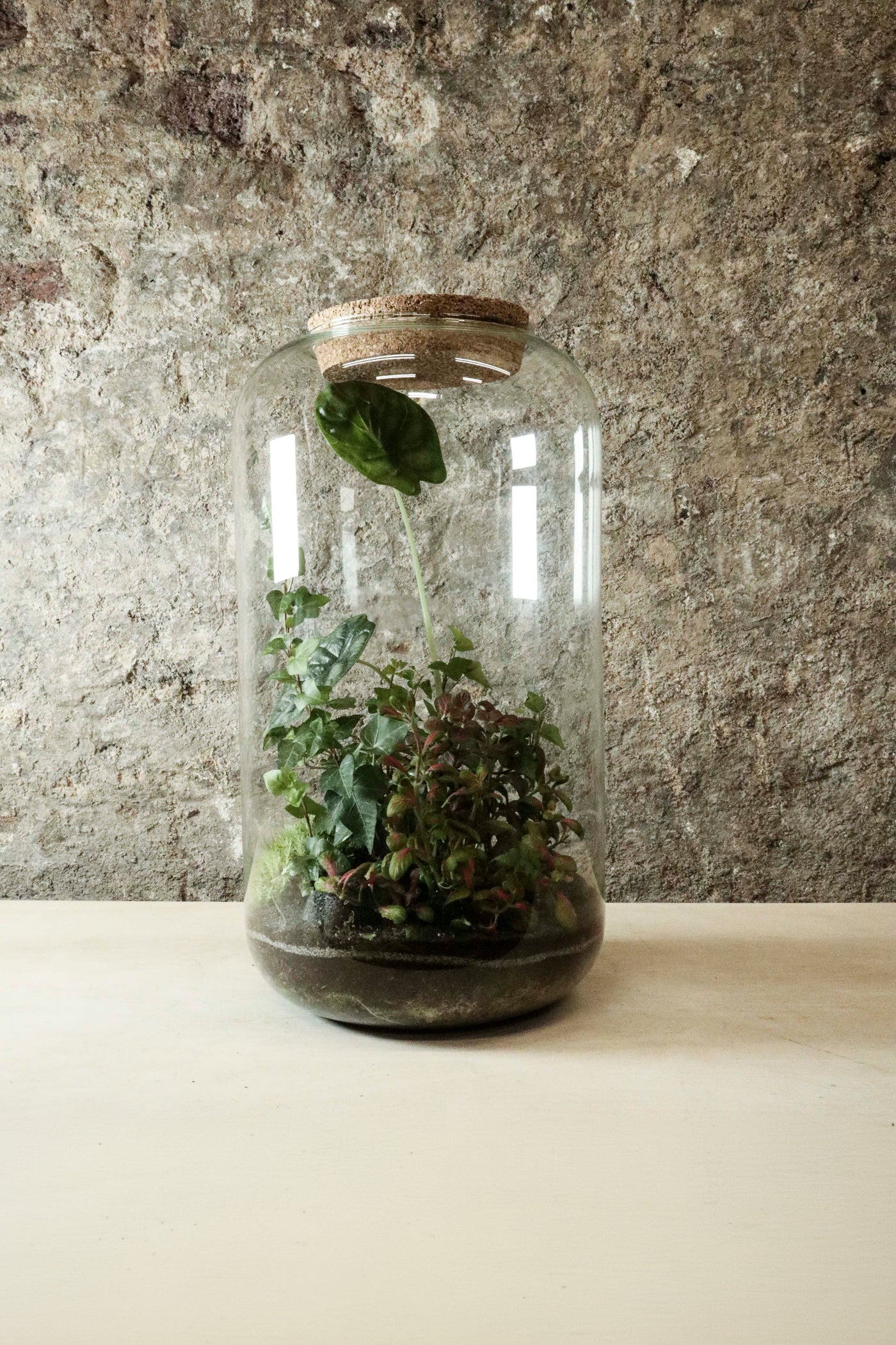 Contemporary Jar Terrarium 40x27cm FR33
