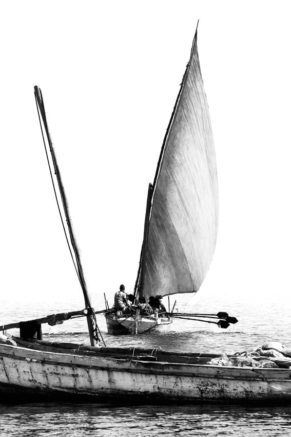 David Ballam - Ilha 06