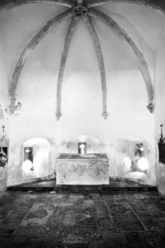 David Ballam - Ilha 15