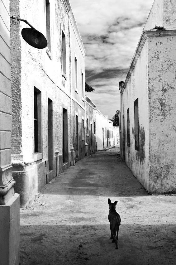 David Ballam - Ilha 20