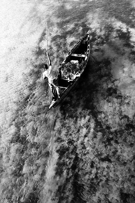 David Ballam - Ilha 68