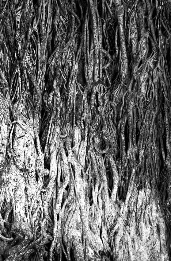 David Ballam - Ilha 76