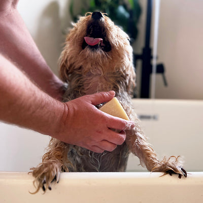 Dog Shampoo Bar - 100% Natural, Vegan & Palm oil-free Shampoo Bar for Dogs