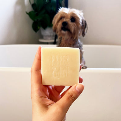 Dog Shampoo Bar - 100% Natural, Vegan & Palm oil-free Shampoo Bar for Dogs