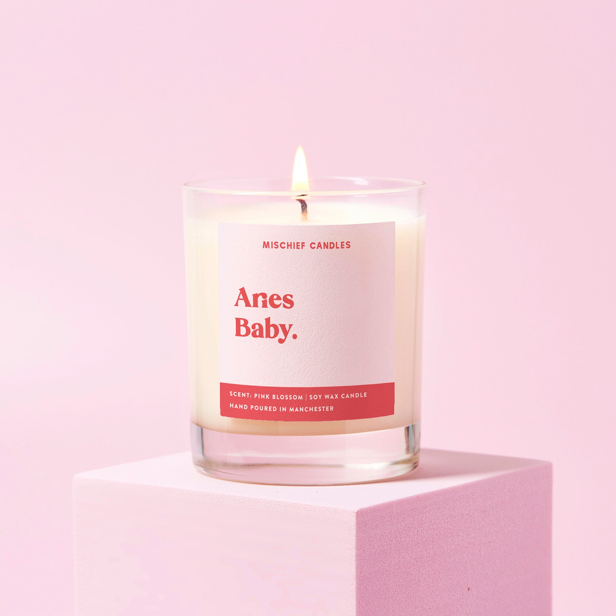Aries Birthday Gift Funny Zodiac Candle Aries Baby