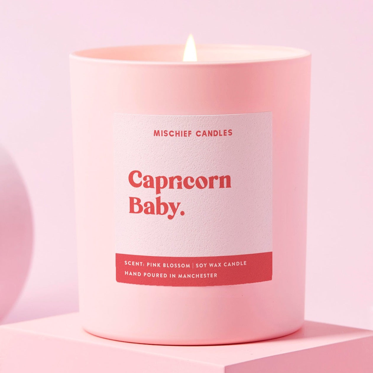 Capricorn Birthday Gift Funny Zodiac Candle Capricorn Baby