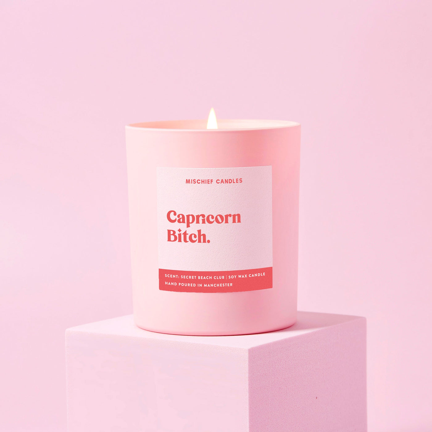 Capricorn Birthday Gift Funny Zodiac Candle Capricorn Bitch