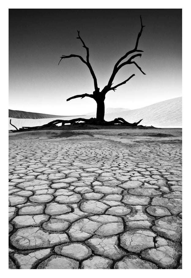 David Ballam - Namibia 03