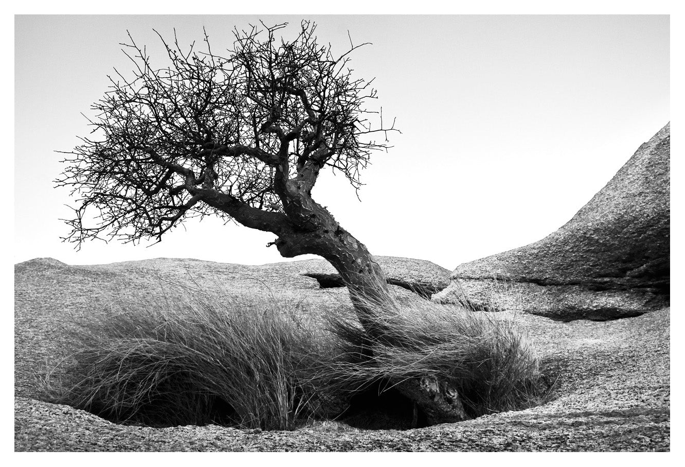 David Ballam - NAM14