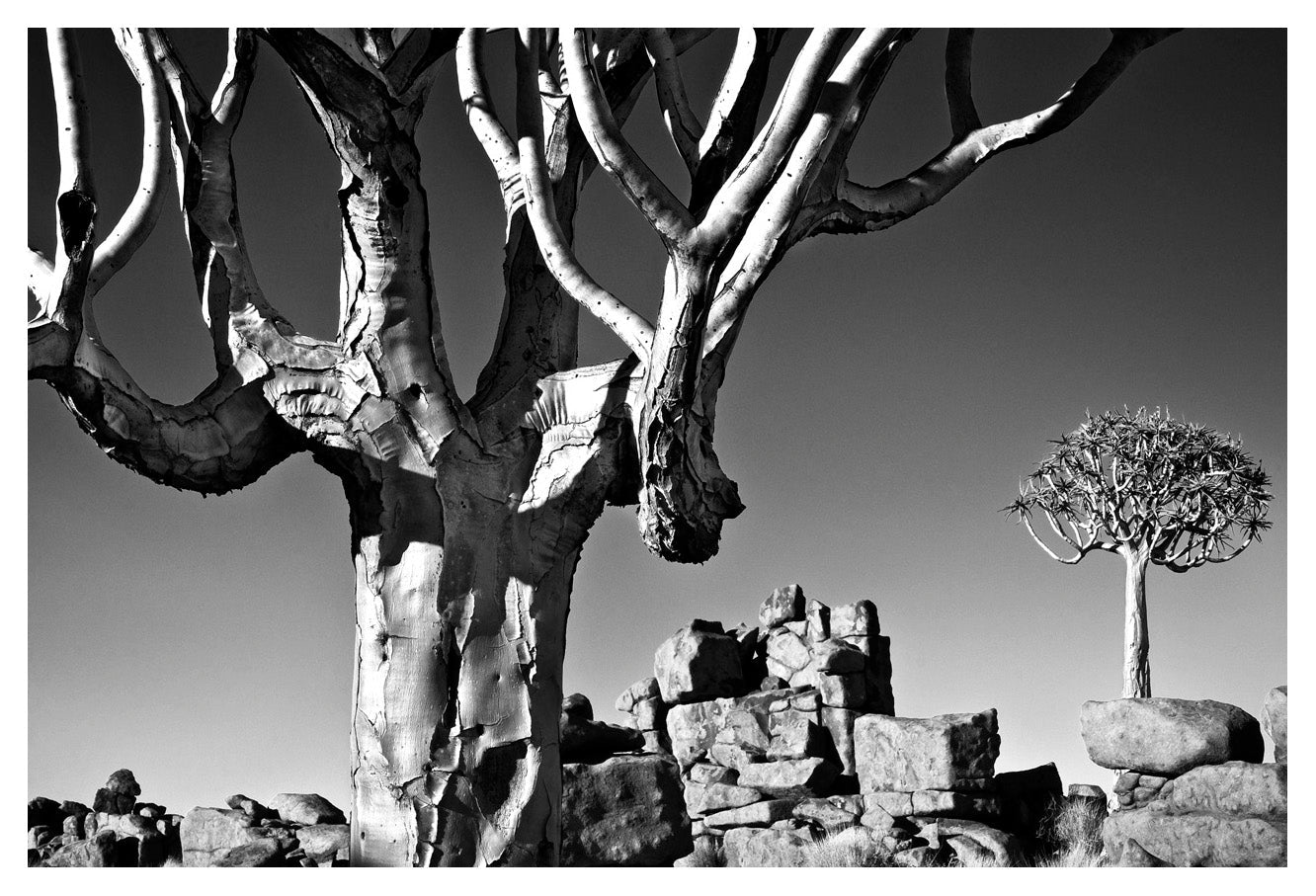 David Ballam - NAM18