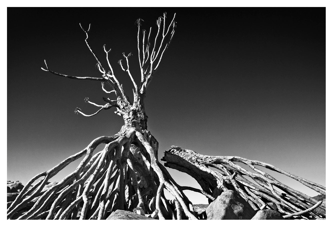 David Ballam - NAM19