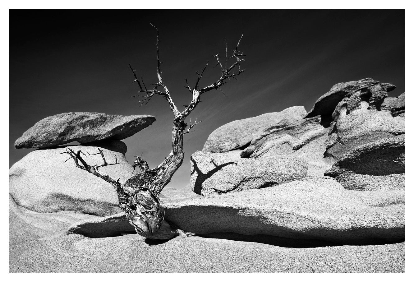 David Ballam - NAM34