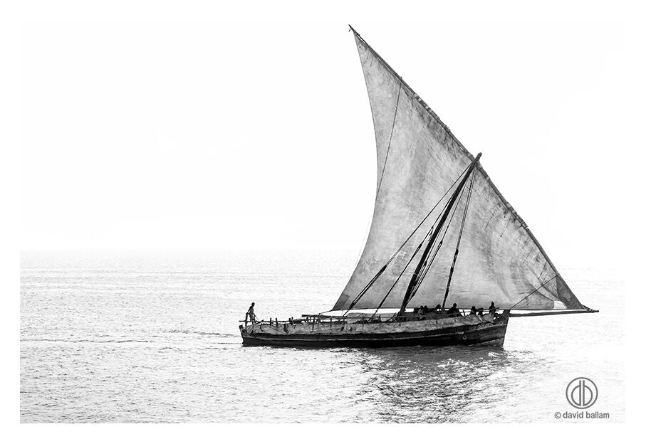 David Ballam - ZAN_56