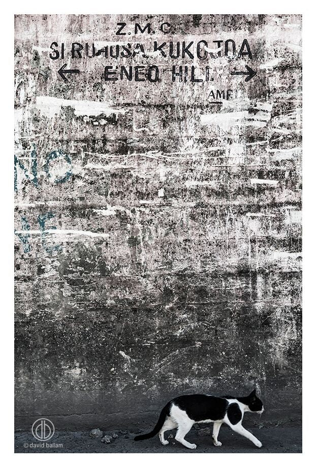 David Ballam - ZAN_86