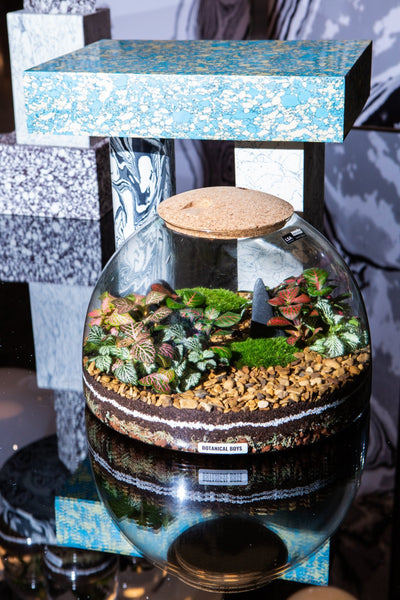 Eden Dome Terrarium Kit 16.5cm