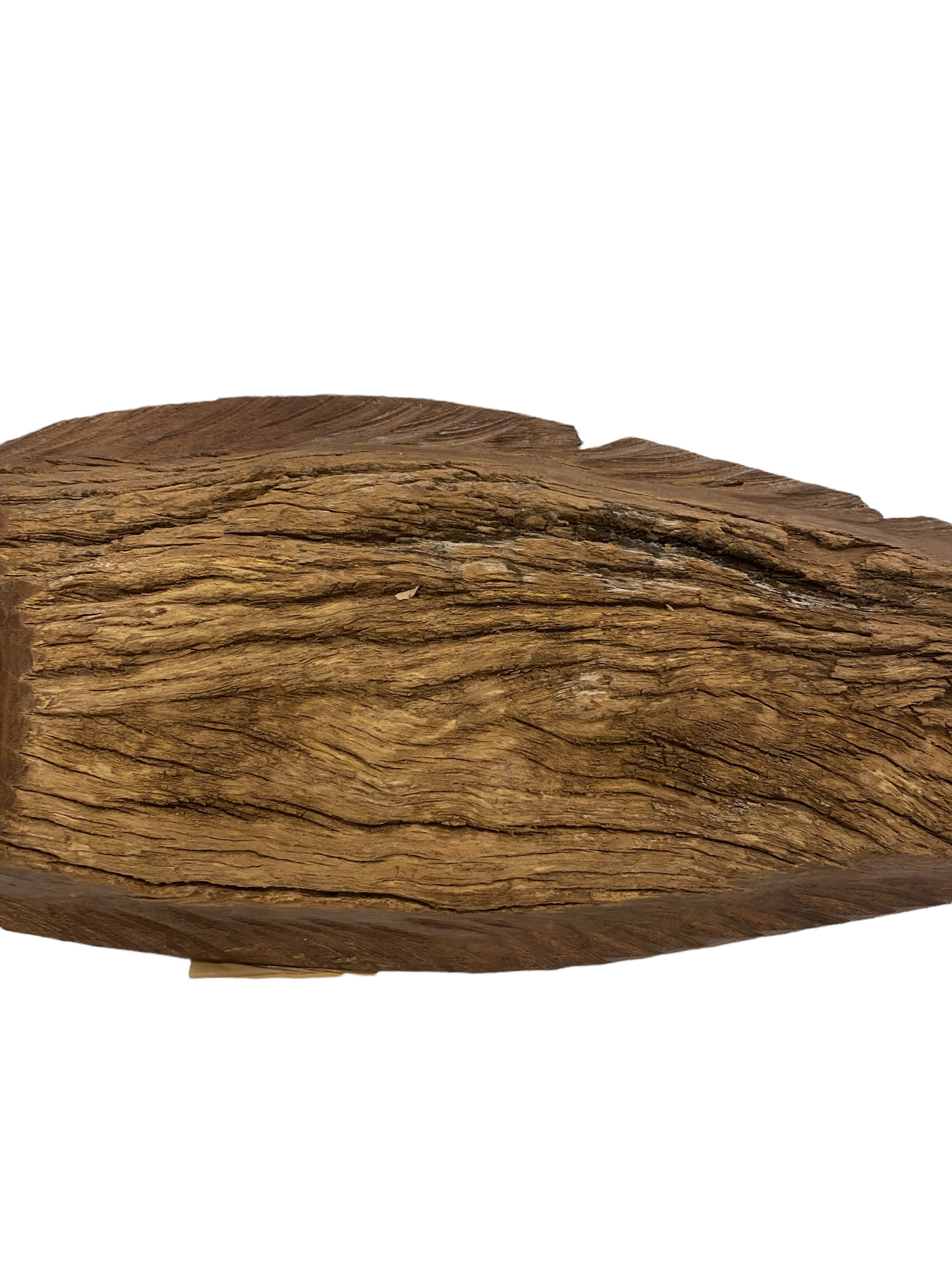 Driftwood Hand Carved Fish - S (1104)