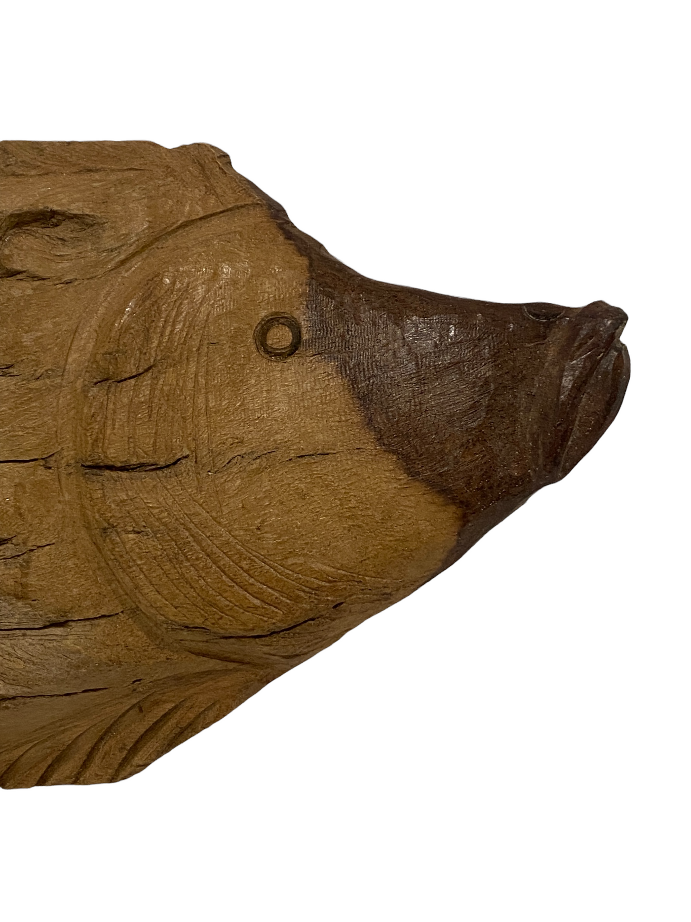 Driftwood Hand Carved Fish - (13.3) Large