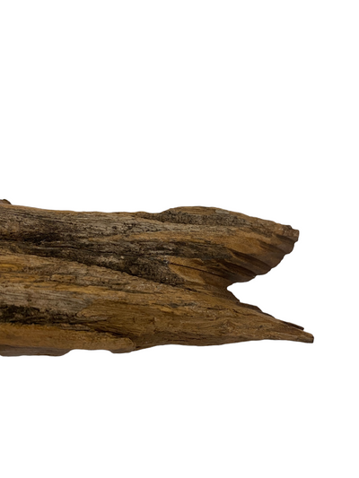 Driftwood Hand Carved Fish - S (1103)