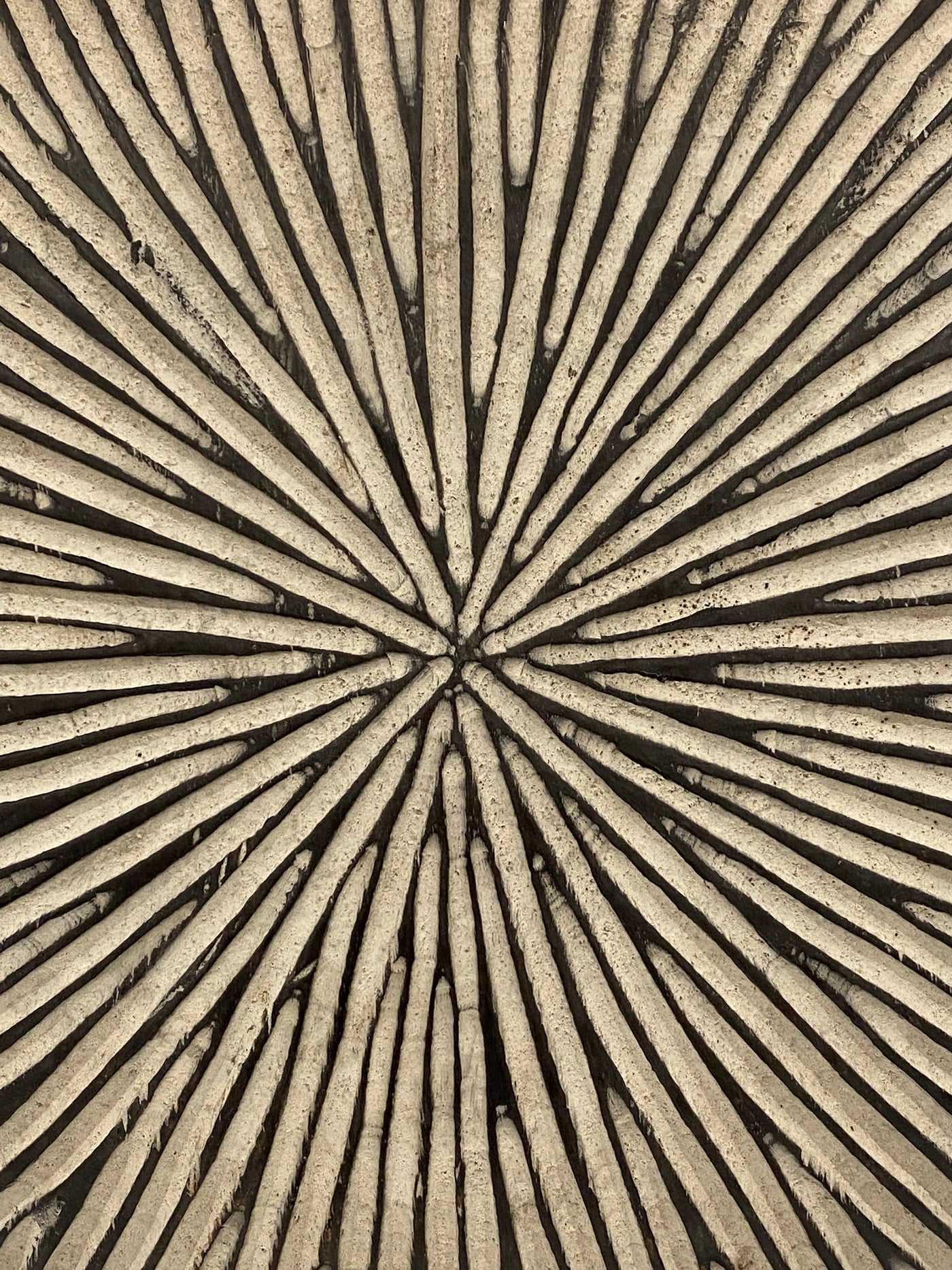 Cameroon Shield - (TR29.1)