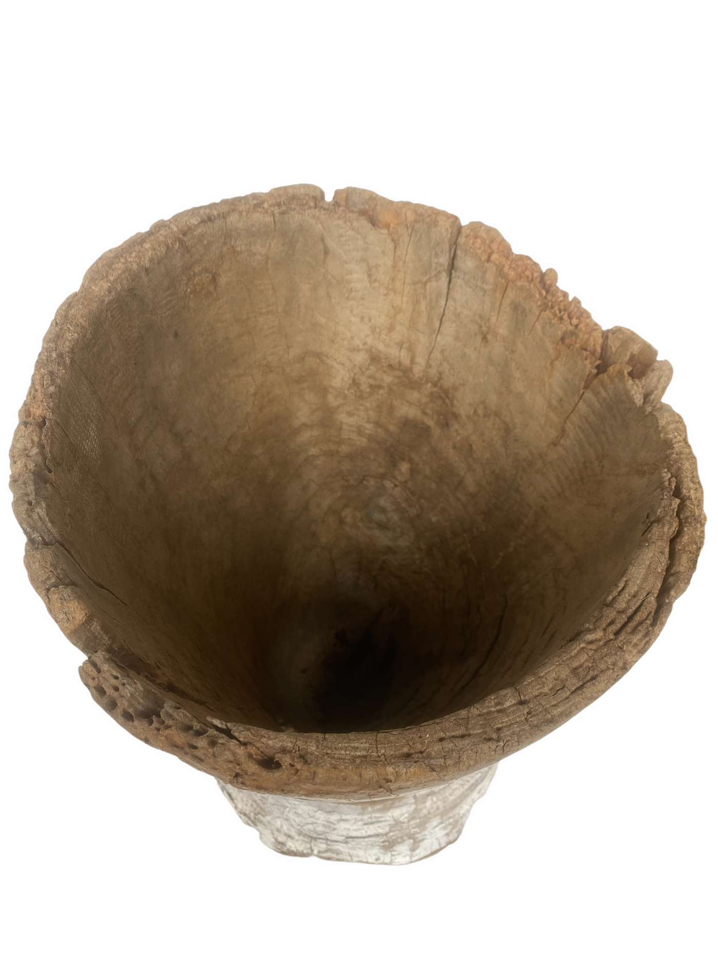 African Grain Stomper