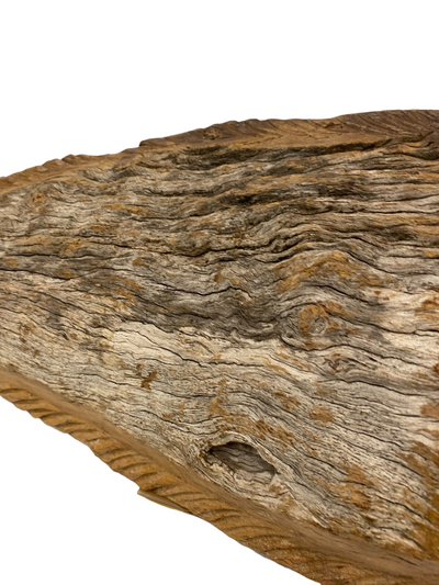 Driftwood Hand Carved Fish - (1303)