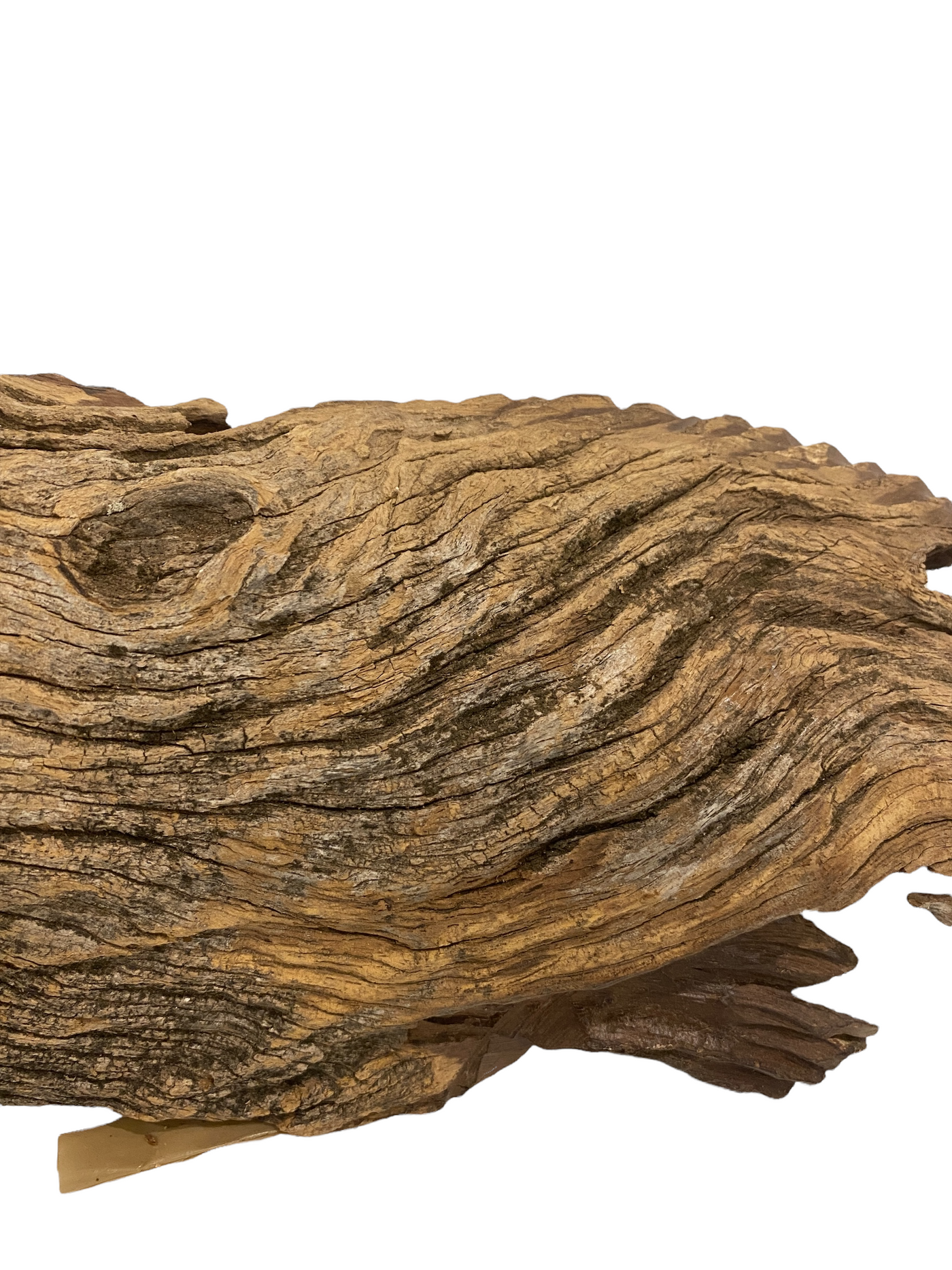 Driftwood Hand Carved Fish - (1307)