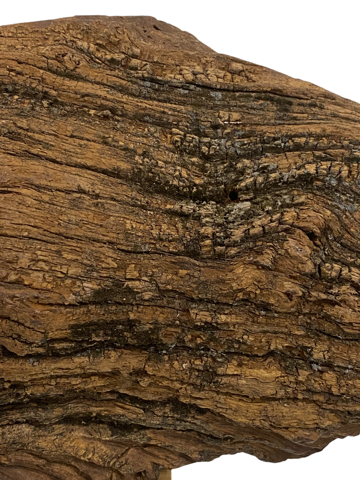 Driftwood Hand Carved Fish - S (1105)