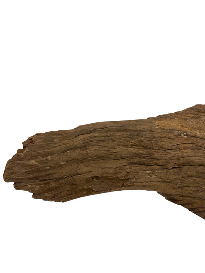 Driftwood Hand Carved Fish - M (1205)