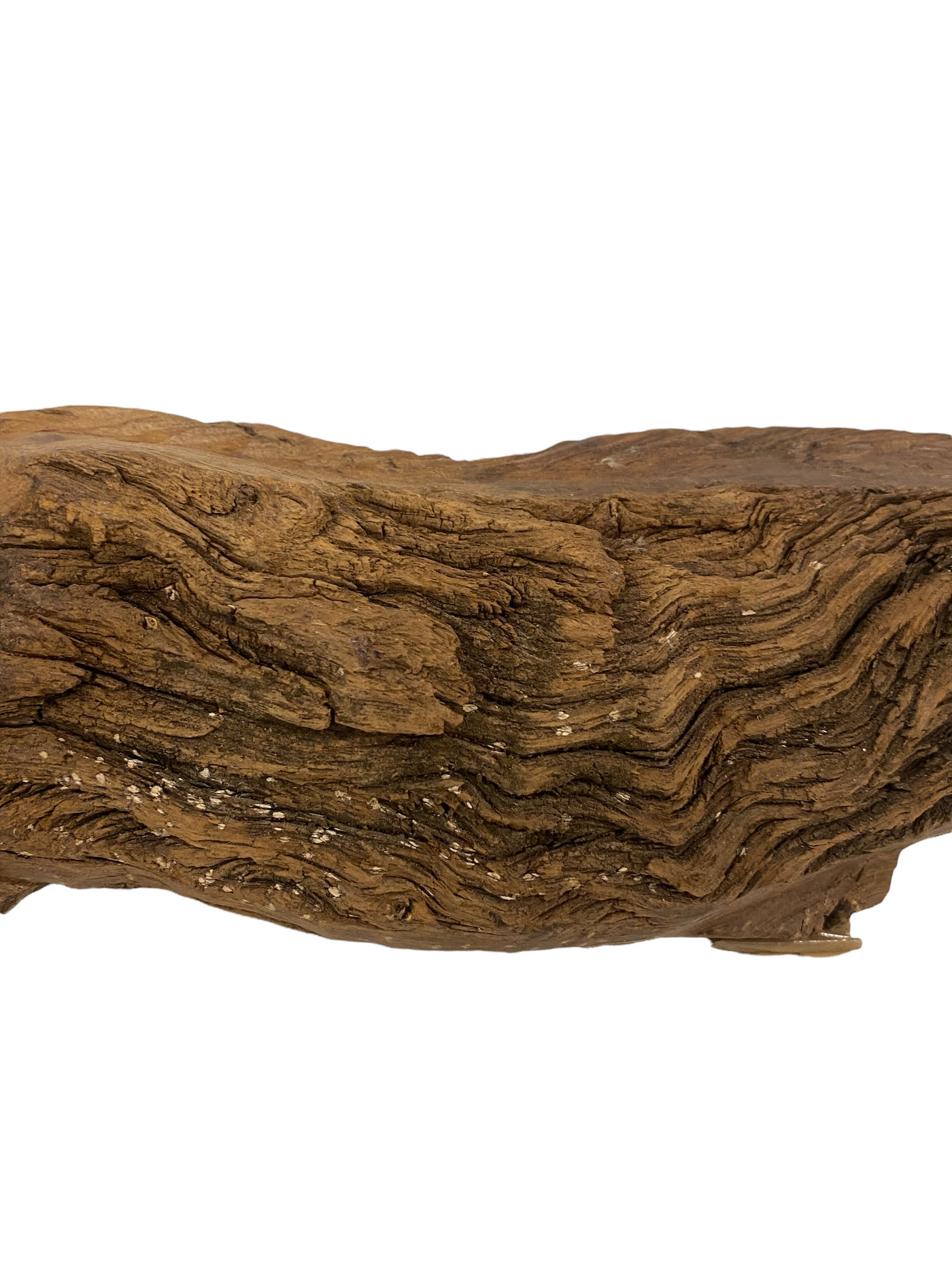 Driftwood Hand Carved Fish - S (1106)