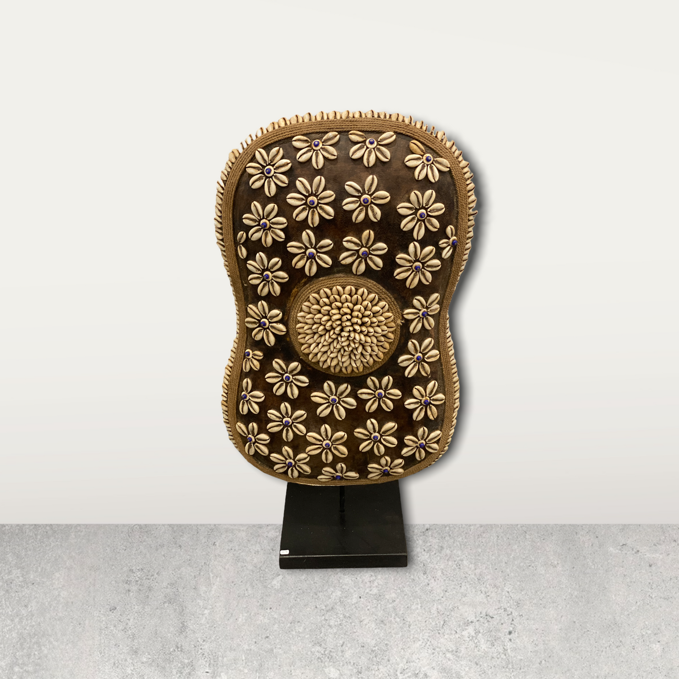 Cameroon Shield Cowrie shell Flower