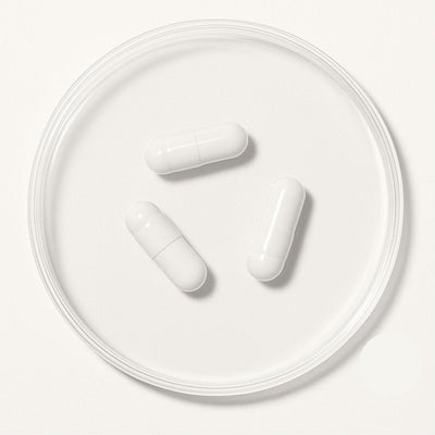 Cognitive Focus & Memory Support